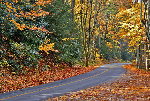 Road to Cades Cove