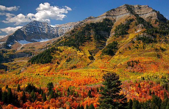 Autumn At Sundance