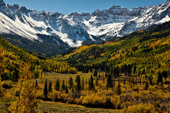 Fall Meadow Below Mount Sneffels