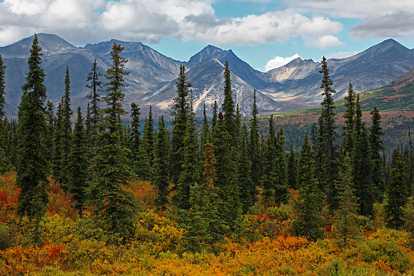 Alaska Range Tundra Layers