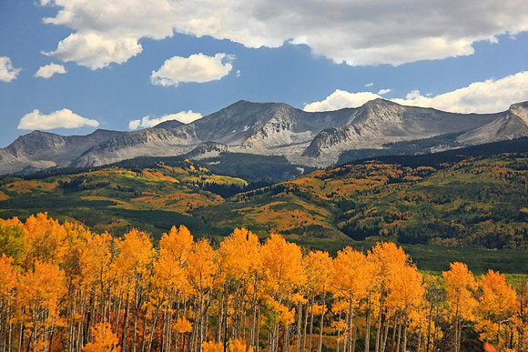 Aspen Line Up Below the Anthracite Range