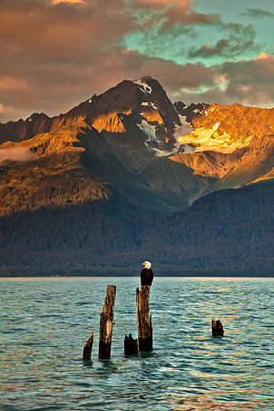 Just Another Night in Resurrection Bay