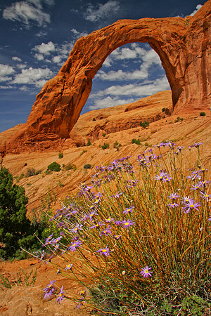 Corona Arch