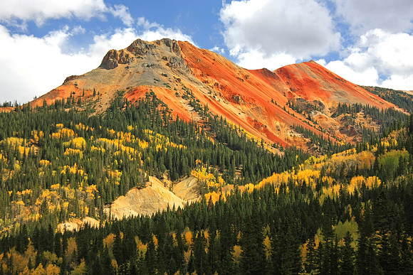 Fall on Red Mountain No 1