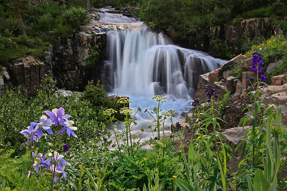 Yankee Boy Waterfall and Garden