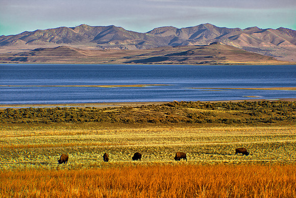 Layers of Antelope Island