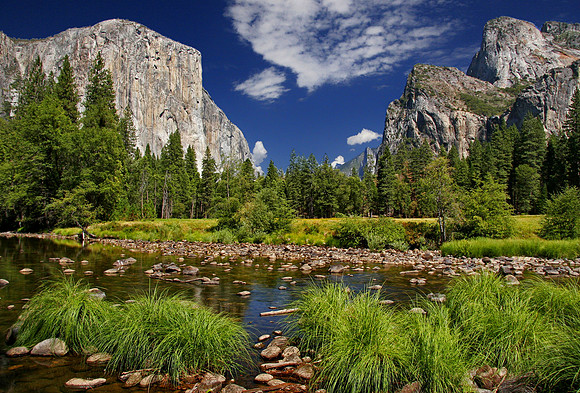 Yosemite Valley River View