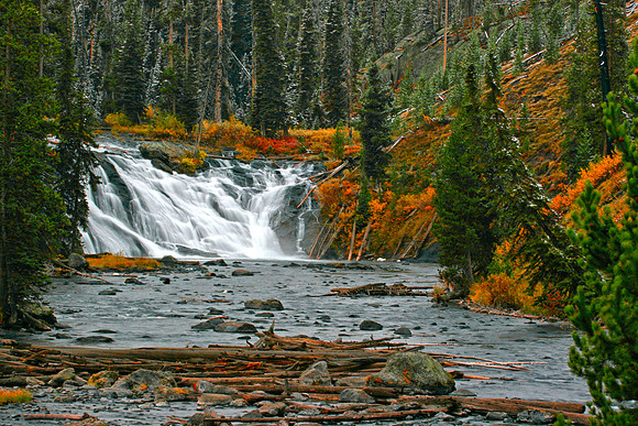 Yellowstone Lewis Falls
