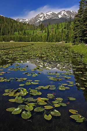 A Reflection on Cub Lake