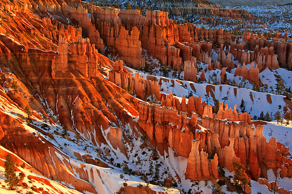 Bryce Canyon Comes Alive