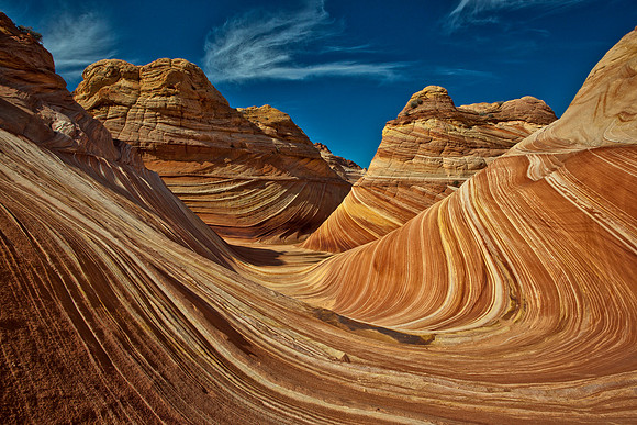The Wave