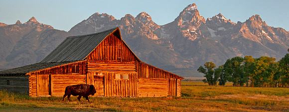 Tatonka Barn