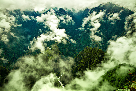 Andes High Cloud Forest