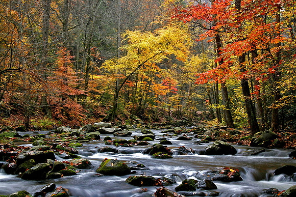 Smoky Mountain River Colors