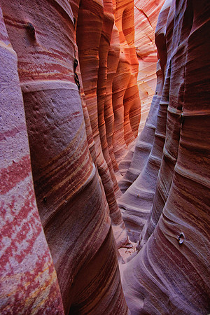 Zebra Slot Canyon
