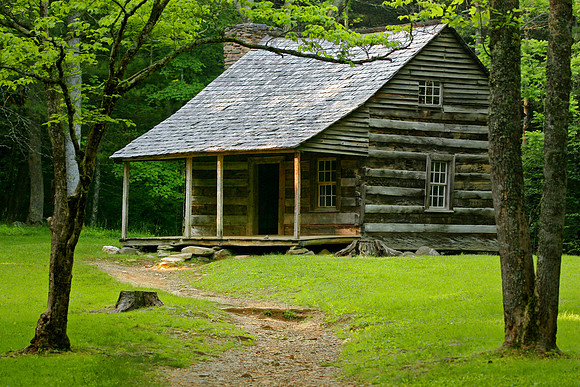Carter Shields Place